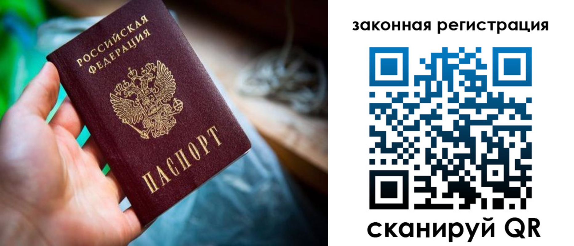 прописка в Ефремове